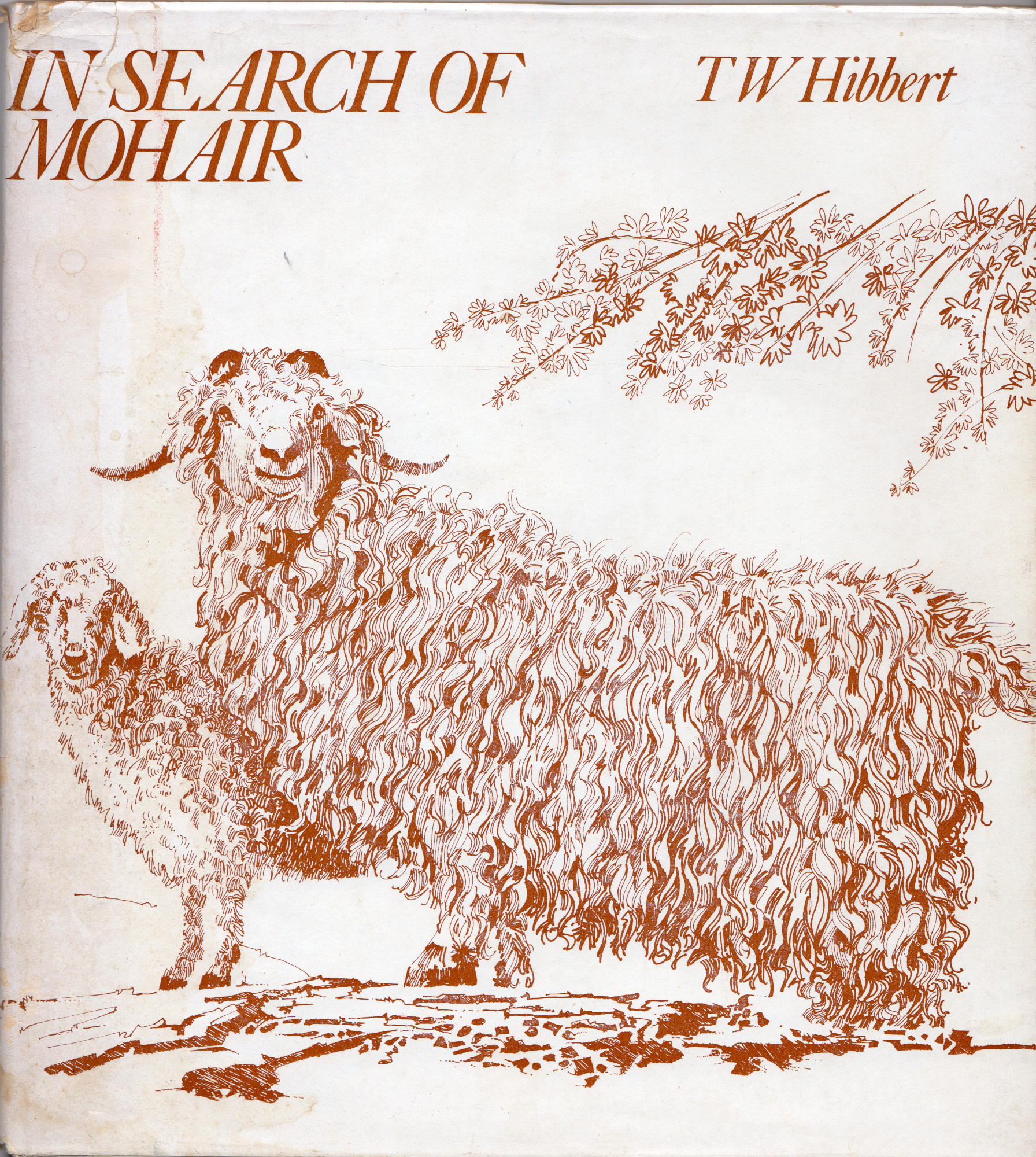 In Search of Mohair