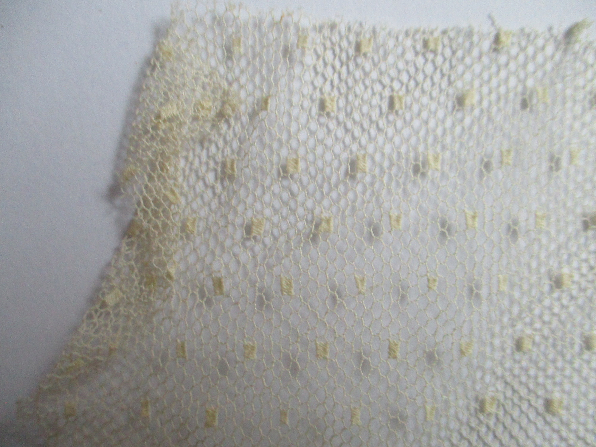 Piece of cream netting.: Close-up image of spotted cream netting. (i)