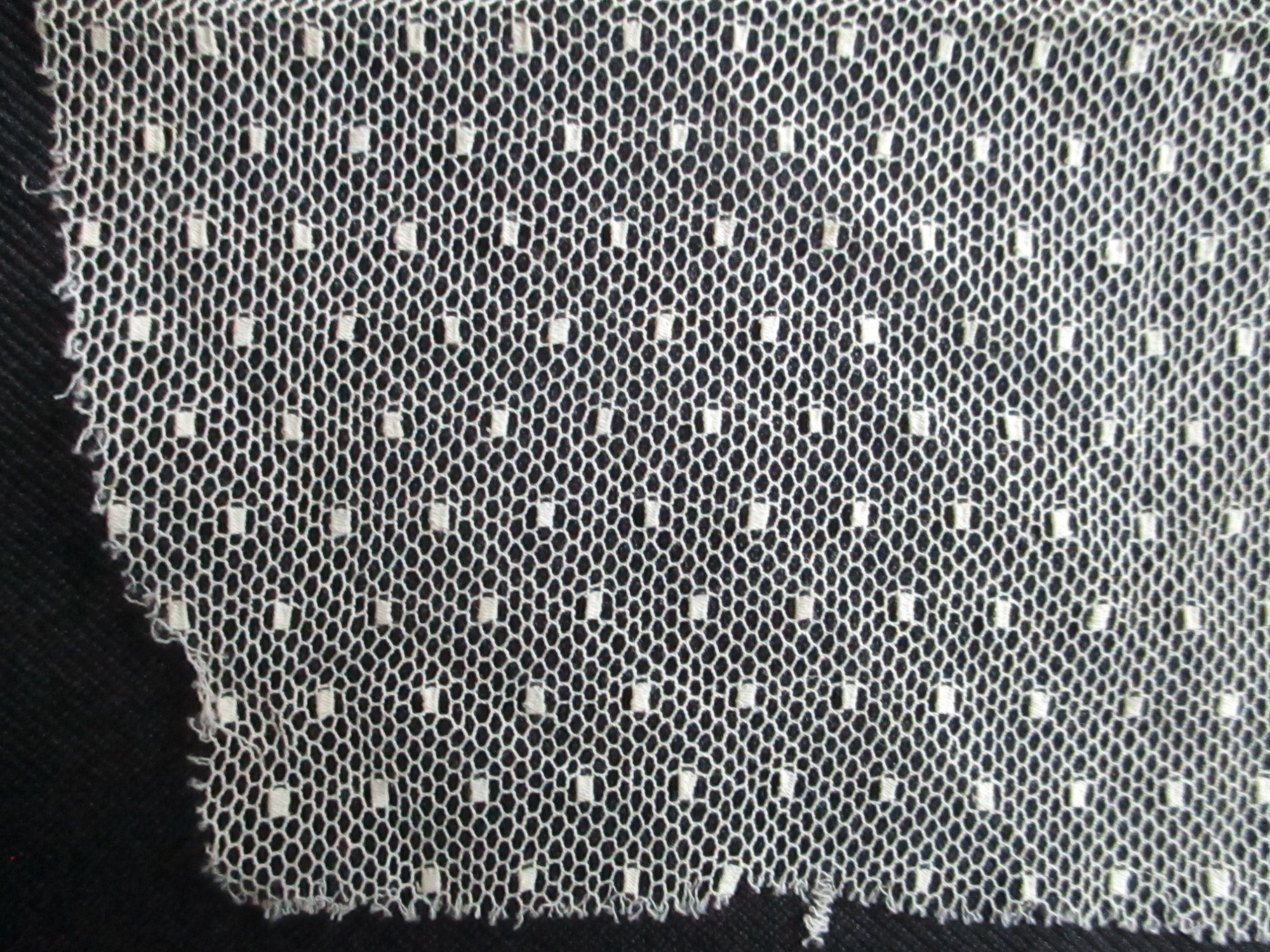 Piece of cream netting.: Close-up image of spotted cream netting. (ii)