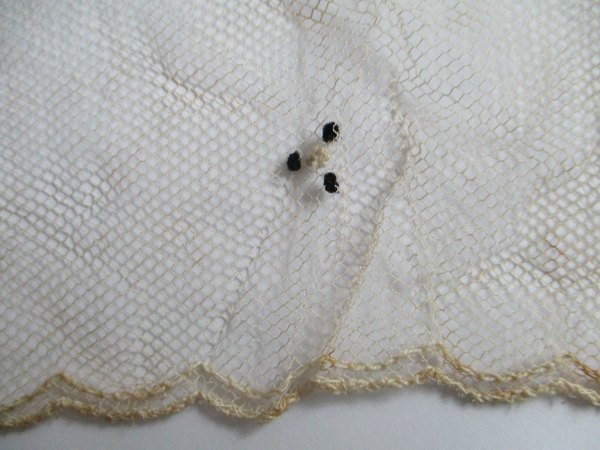 Piece of decorated cream netting.: Embroidery detail on nylon netting showing french knots. (ii)
