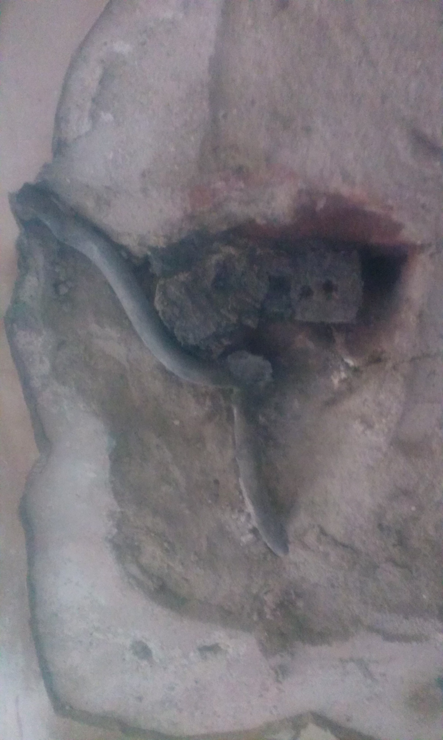 Small section of lead gas piping for lighting: Photograph of pipe section in situ