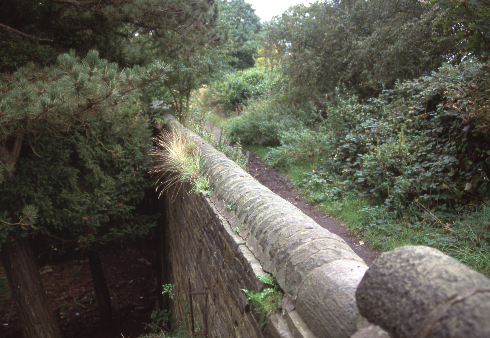 Crow Nest coachroad
