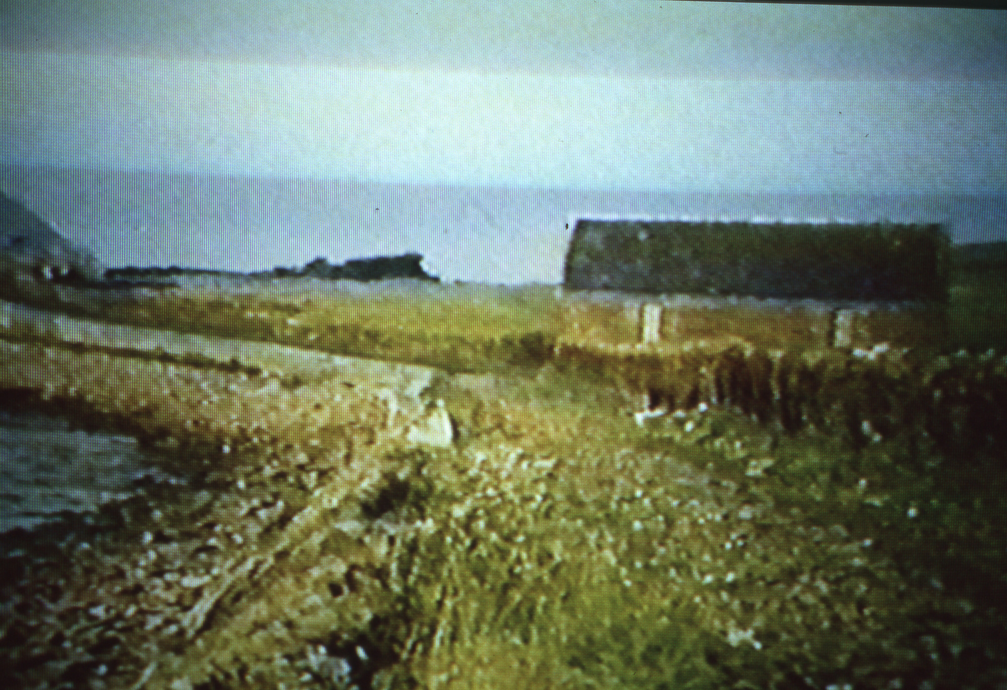 Lifeboat station Stromness. Sir Titus Salt donated money for the provision of a lifeboat at Stromness in the Orkney islands.