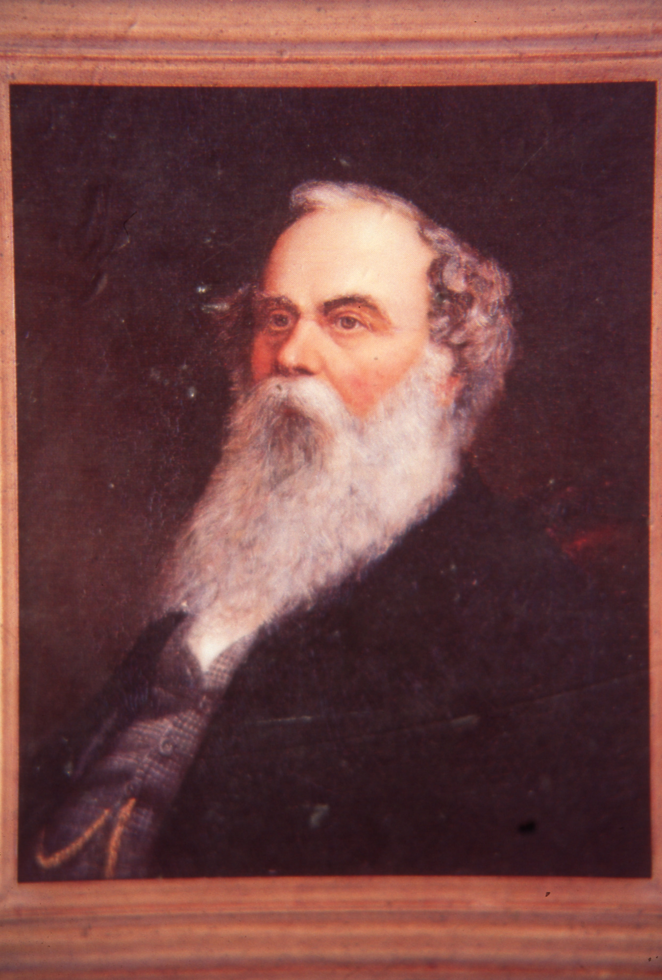 Portrait of Titus Salt (110)